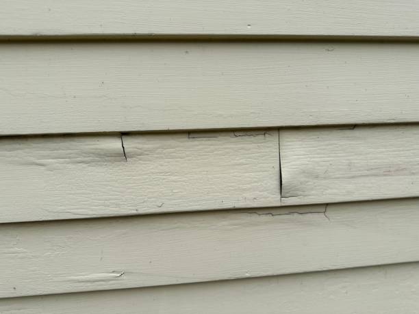 Best Custom Trim and Detailing for Siding  in Danvle, IL